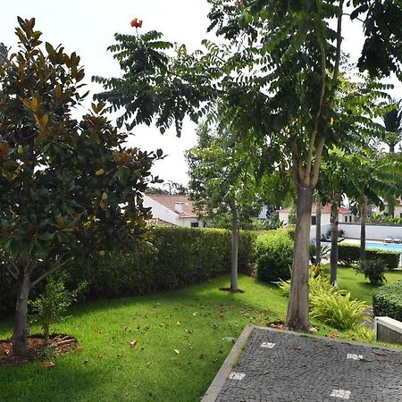 Villa Jasmineiro Funchal  Extérieur photo