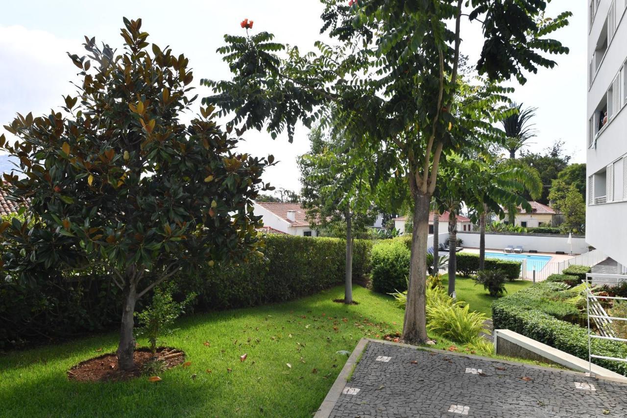 Villa Jasmineiro Funchal  Extérieur photo